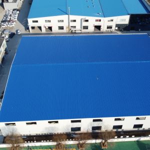 Prefab Steel Structure Warehouse Building with Large Span and Crane