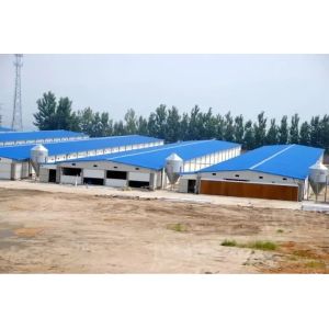 Customized Prefabricated Steel Structure Warehouse Workshop