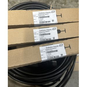 Endress+Hauser Waterpilot FMX21 Hydrostatic Level Transmitter with IP68-Rated Electronics 200m Measurement Depth and ±0.2% Accuracy