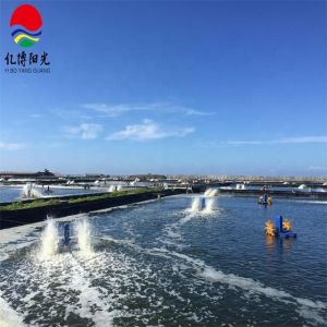 Custom HDPE Geomembrane Liner for Waterproof Projects Finely Processed and