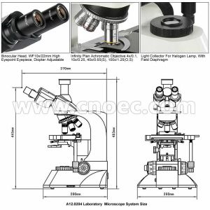 WF10X Cordless Polarizing Compound Optical Microscope Trinocular A12.0204