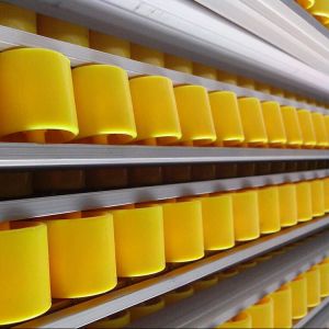 Durable Warehouse Metal Storage Pallet Live Racking Color Powder Coating