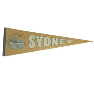 Sublimation Polyester Felt Pennant Flag 15x20cm Triangle Shape