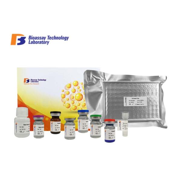 High Sensitivity Human ELISA Kit Sandwich Test Method 2 - 8°C Storage For