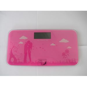 Travel Weighing Scales with CE, RoHs