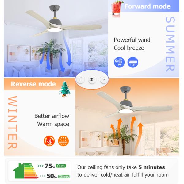 Pure Copper Motor LED Ceiling Fan with Remote Control and App Control Modern Design