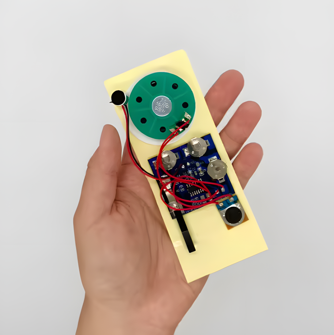 ROHS Certified Recordable Sound Module with Acceptable Custom Sound Duration