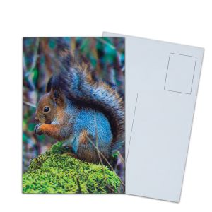 Negotiation Status read failed 3D Lenticular Postcards for Market