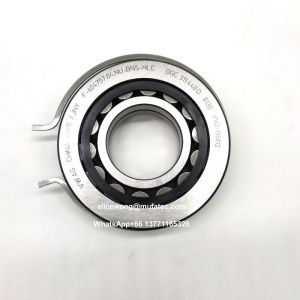 F-604757.04.NU-BNS-HLC Nylon Cage Cylindrical Roller Bearings 28x31x72mm