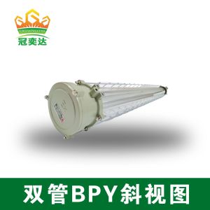 Explosion Proof Fluorescent Tube Light 0.98 Power Factor 18W 36W Frequency