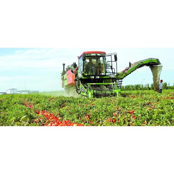 400g Stand-Up Sachet Tomato Paste Convenient Flavorful 30%-100% Purity