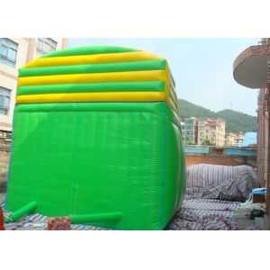 Fish Double Climbing Ladders Commercial Inflatable Slide For Adult