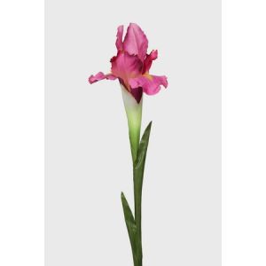 Wholesale Artificial Iris from china suppliers