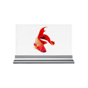 Wholesale HD Interactive Transparent OLED Display 30in Transparent Digital Signage from china suppliers