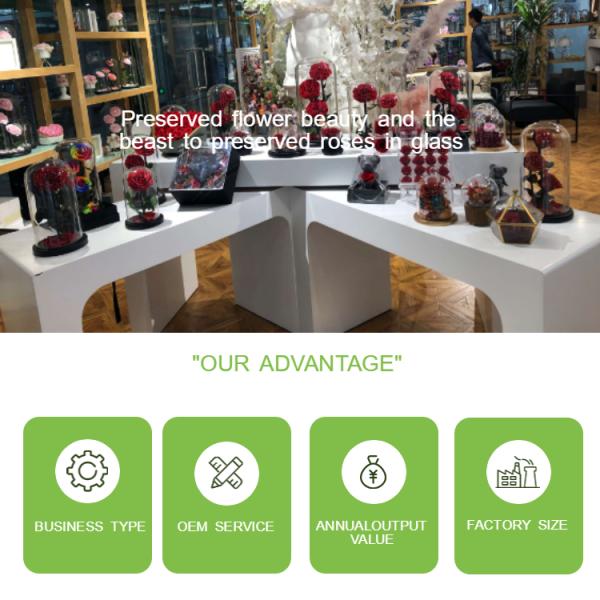 Dried Beauty And The Beast Red Rose In Glass Gift Suitable For Decor Purposes