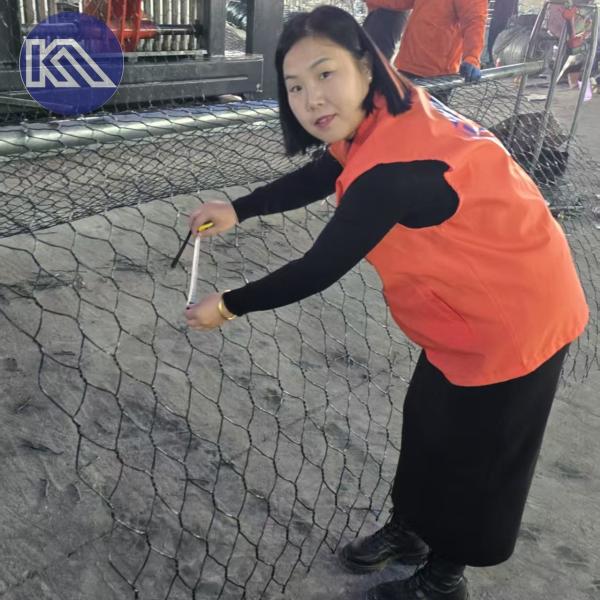 Customizable Hexagonal Gabion Walls For Sale 6mx1mx1m Eco Friendly For Urban