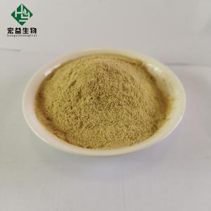 Wholesale Food Grade Citrus Aurantium Fruit Extract Hesperidin 98% Light Yellow Powder from china suppliers