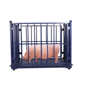 Dynamic ODM 100Kg Weighing Scale For Live Pigs