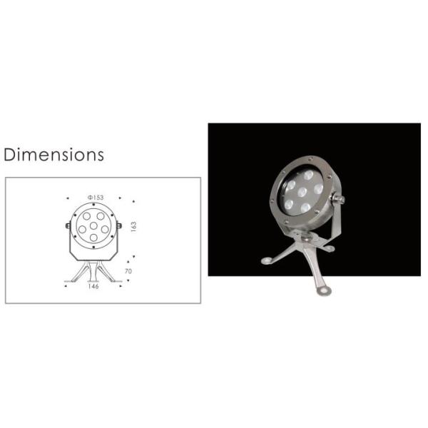 Molding Shaped Stainless Steel SUS316 LED Underwater Lights Built - In Constant Current Driver