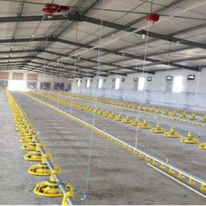 Multifunctional Steel Frame Chicken Coop Lightweight Steel Frame Building Mould