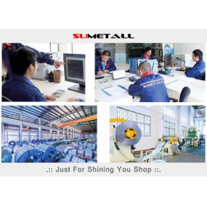 SUMETALL (CHINA) SHOPFITTINGS LTD