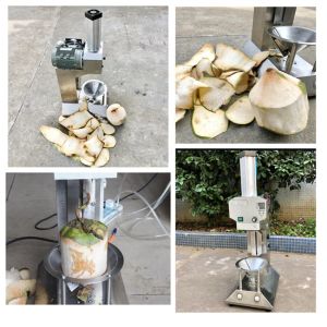 0.8kw Coconut Shell Grinding Machine / Electric Coconut Grating Machine