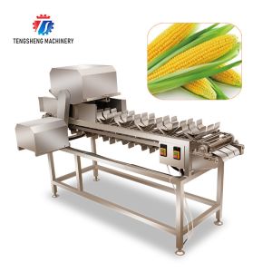 150KG 2.05KW Cut loofah pumpkin asparagus cucumber lettuce eggplant bitter melon