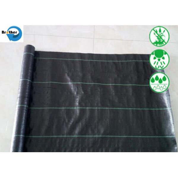 PP Black Fabric Ground Cover Weed Mat Weed Control for Plant Protection