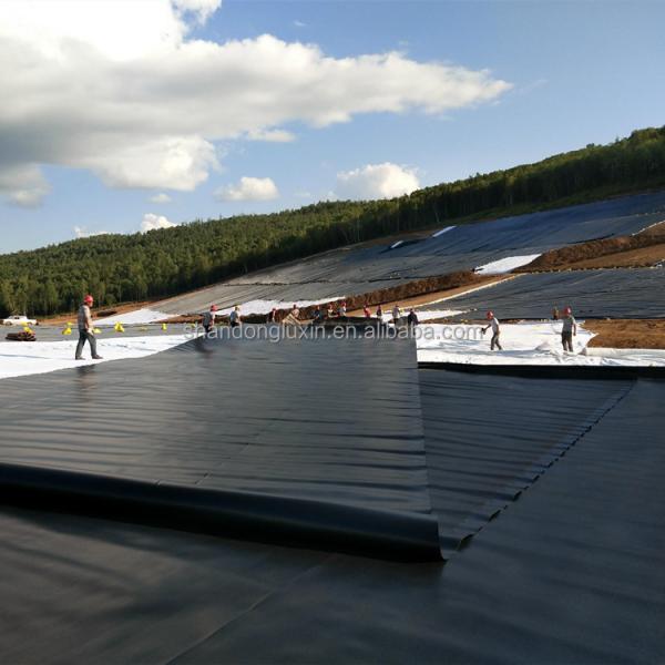 Industrial Design Style Geomembranes Essential for Waterproofing Dam Lining and