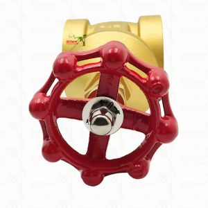 Brass Gate Valve With Red Handle 2 1/2" Customized Size High Pressure Bearing