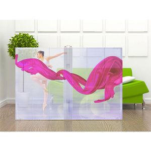 1/6 Scan Indoor Fixed LED Display Magic Window Transparent Glass Led Screen
