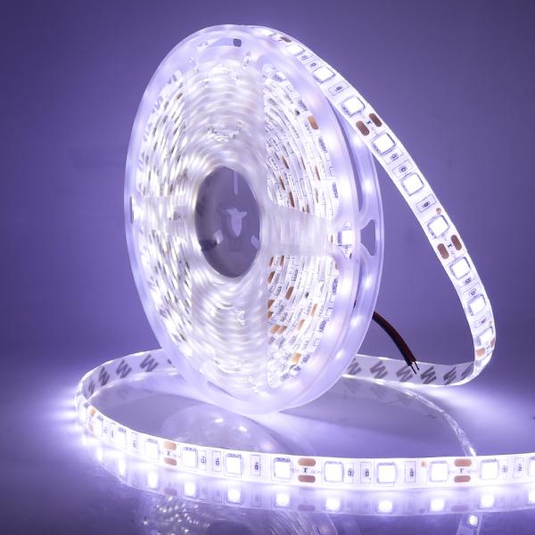 SMD5050 Waterproof LED Strip Light Silicone Ip68 Led Strip Lights 50000hrs