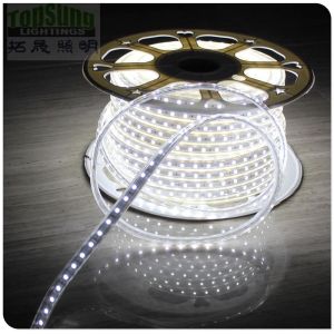 China 50m 120V 5050 smd strip white  led ribbon 60LED/m flexible led strip on sale