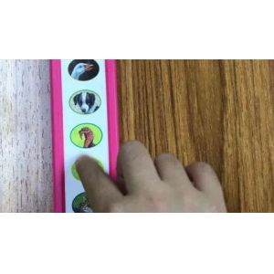 Educational Module Board Book with Remote Control Flash of Light for 3-8 Years