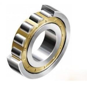 NSK / NTN Cylindrical Roller Bearing N202 11mm Width ISO9001 2008