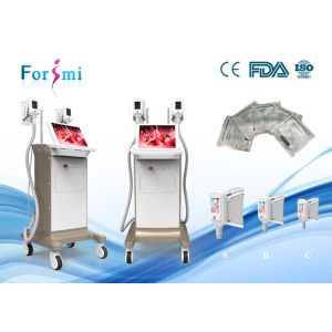 China Forimi fat cells reduce champagane 15 inch new Cryo Fat Freeze Cool Slcupting body slimming on sale