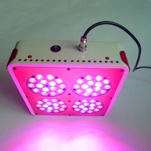 Wholesale promotion arrivalAPOLLO 4 LED Grow Light AC100~240V 700mA from china suppliers