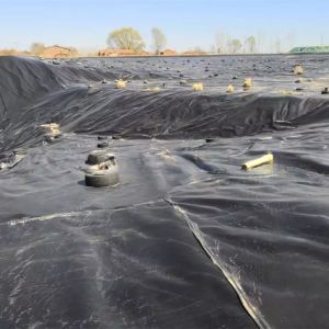 Foldable Geomembrane Fish Pond Liner in Black or Customized Color for Crawfish
