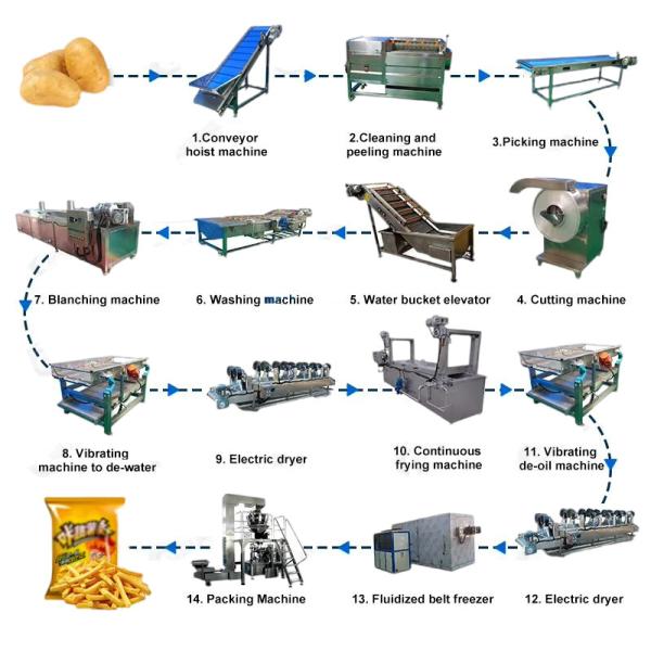 Large Scale Customizable French Fries Processing System with Customization Option