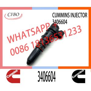 Common rail injector fuel injecto 3406604 3411821 3071497 3087648 for PT11