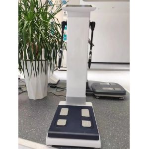 Intelligent Body Composition Analyzer Fat Analysis Machine by Bioelectrical