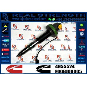 4964170 Diesel QSK19 Engine Common Rail Fuel Injector 4955524 2867149 4955527