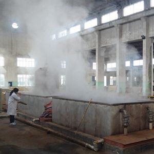 Thickness Customized 0.18-1.0mm Engineered Wood Veneer For Wall Panel Landscape