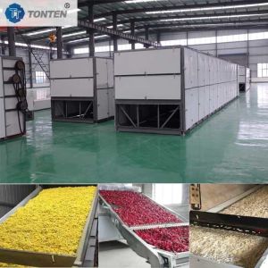 Litchi Apple Pineapple Grape Belt Dryer Machine Dehydrator Dryer