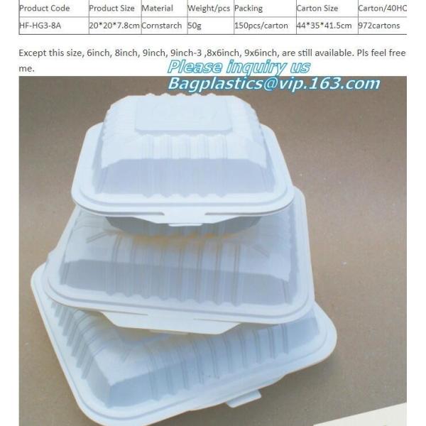 cornstarch eco Green 16oz Food Container Sugarcane Biodegradable Square