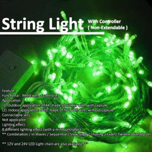 High quality Christmas LED string light 8 functionl effects with a controller