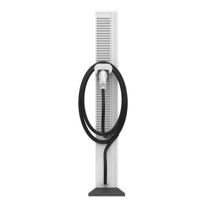 60kW 80kW Public Ev Chargers For BYD Beiqi Foton Yutong CCS/GBT Port