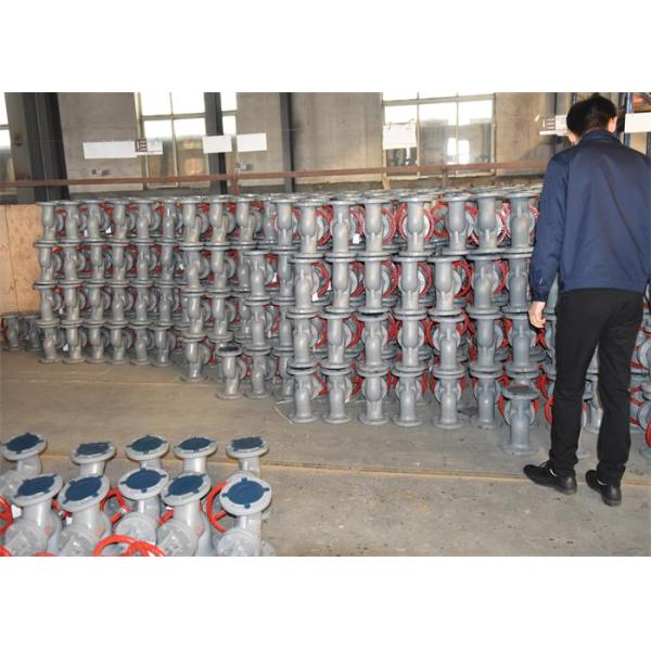 Floating Ball Y Strainer Flange Type
