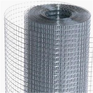 Livestock Fence Galvanized Welded Wire Mesh Galvanised Iron Wire Mesh 1x1/2inch