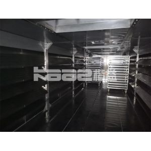 High Standard Continuous Belt Dryer Air Cooling